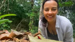 Liz Bonnin's Wild Caribbean