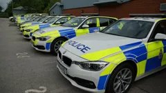 Traffic Cops