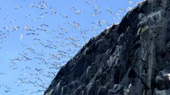 Grand Tours of the Scottish Isles