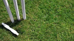 The Best of The WBBL