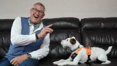 Dogs Behaving (Very) Badly