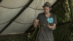 Survivor South Africa