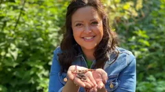 Ferne and Rory's Teeny Tiny Creatures