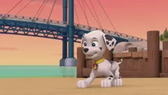 PAW Patrol