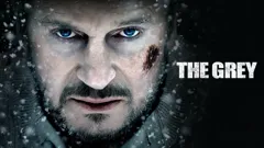 The Grey