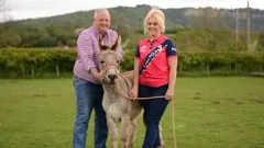 The Yorkshire Vet