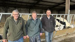 The Yorkshire Vet