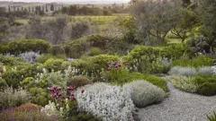 The Art Of The Garden