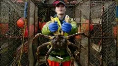 Deadliest Catch