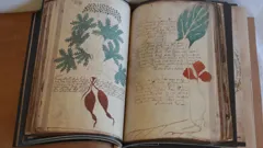 World's Most Unexplained