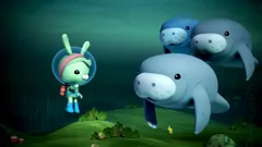 Octonauts
