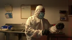 American Detective With Lt Joe Kenda