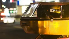 Bloodline Detectives