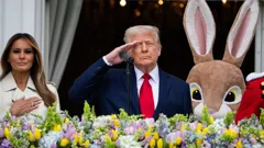 The Donald Trump Show