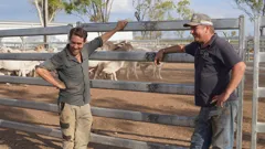 Aussie Gold Hunters