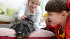 Topsy and Tim