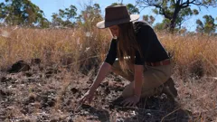 Outback Crystal Hunters