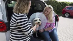 The Supervet