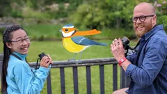 Teeny Tiny Creatures with Chantelle and Rory