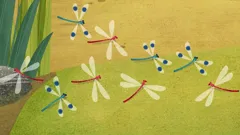 Puffin Rock (As Gaeilge)