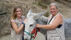 Bargain-Loving Brits in the Sun