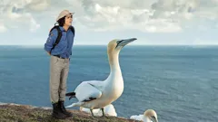 Andy's Wild Adventures