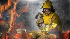 100 Amazing Animal Rescues