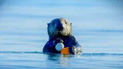 Andy's Global Adventures