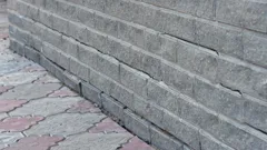 Their Invisible Inheritance