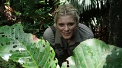 The Remarkable Miss North