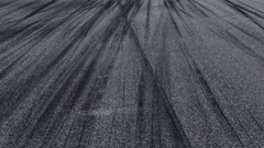 Lando Norris's Career