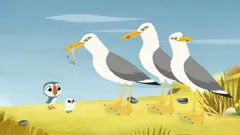 Puffin Rock (As Gaeilge)