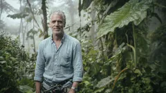 Equator From The Air