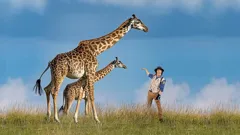 Andy's Safari Adventures