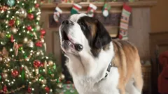 Beethoven's Christmas Adventure