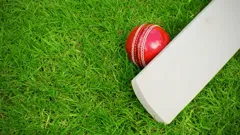 Celebrity Crazy Cricket in the 1950s