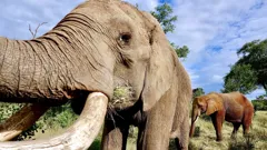 Namibia's Natural Wonders