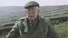 Last of the Summer Wine