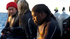 Shark! Celebrity Infested Waters