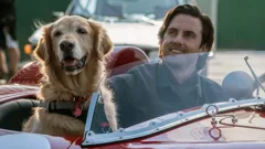 The Art of Racing in the Rain