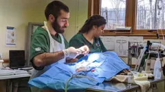 **Visually Signed**The Highland Vet