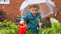 Ranger Hamza's Eco Quest