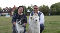 Dogs Behaving (Very) Badly