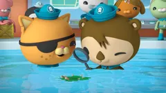 Octonauts