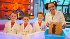 Nina and the Neurons