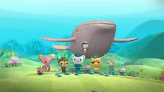 Octonauts