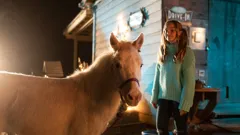 A Unicorn For Christmas