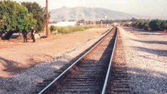 Bloodline Detectives