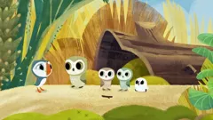 Puffin Rock