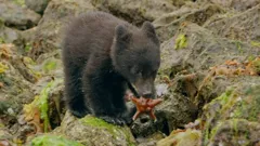 Andy's Global Adventures